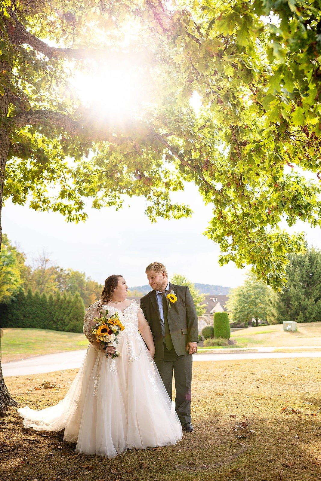 carousel-hero-element image-2