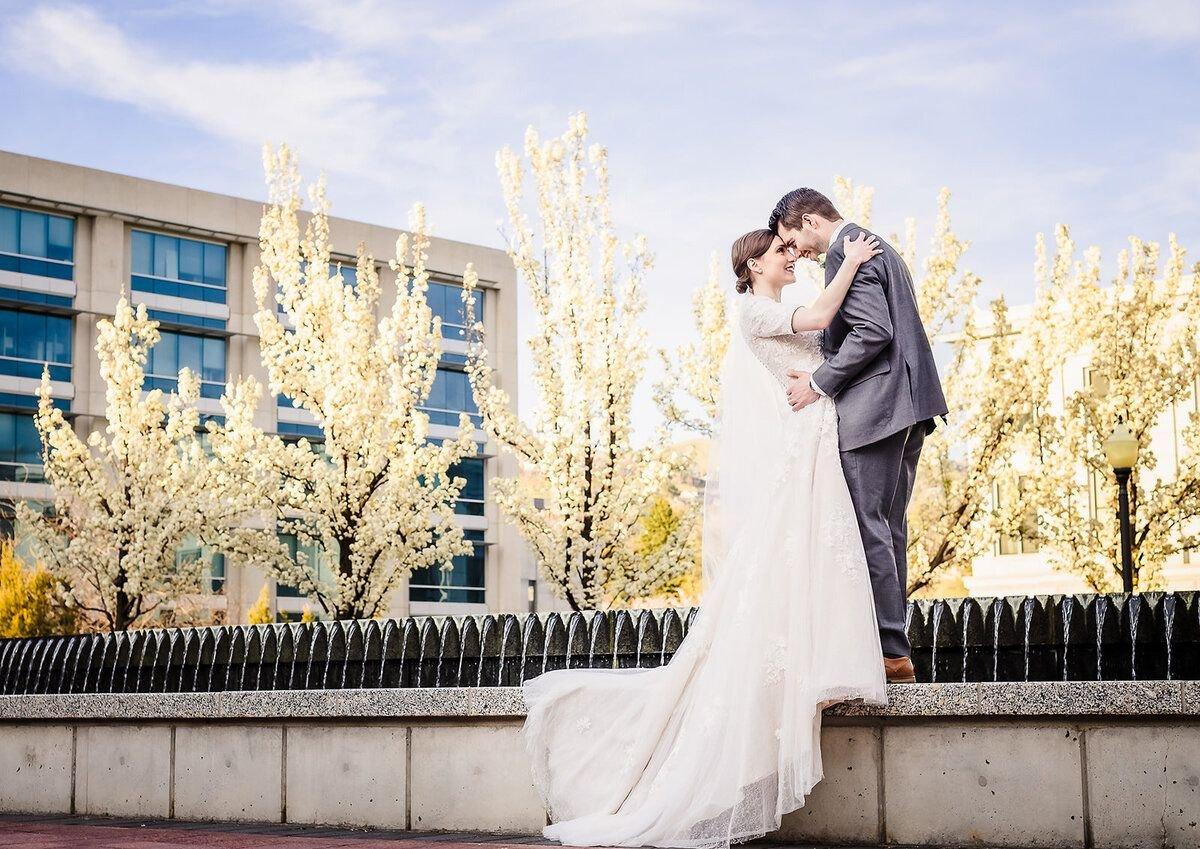 carousel-hero-element image-2